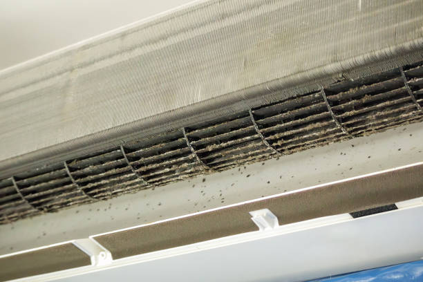 Best Affordable HVAC Duct Cleaning  in Wakefield, VA